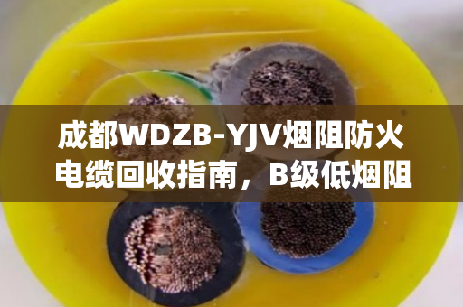 成都WDZB-YJV烟阻防火电缆回收指南，B级低烟阻燃缆的环保价值与实操案例