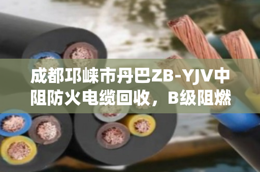 成都邛崃市丹巴ZB-YJV中阻防火电缆回收,B级阻燃缆的环保价值与专业服务 成都邛崃市丹巴ZB-YJV中阻防火电缆回收,B级阻燃缆的环保价值与专业服务