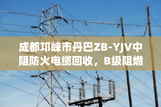 成都邛崃市丹巴ZB-YJV中阻防火电缆回收,B级阻燃缆的环保价值与专业服务 成都邛崃市丹巴ZB-YJV中阻防火电缆回收,B级阻燃缆的环保价值与专业服务