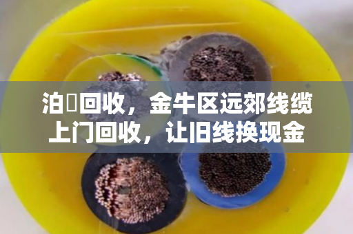 泊祎回收，金牛区远郊线缆上门回收，让旧线换现金