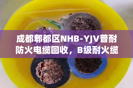 成都郫都区NHB-YJV普耐防火电缆回收,B级耐火缆为何成为工程首选? 成都郫都区NHB-YJV普耐防火电缆回收,B级耐火缆为何成为工程首选?