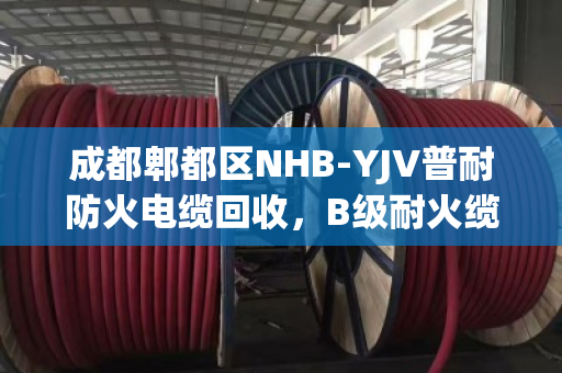 成都郫都区NHB-YJV普耐防火电缆回收，B级耐火缆为何成为工程首选？