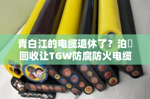 青白江的电缆退休了?泊祎回收让TGW防腐防火电缆与防腐耐候缆重获新生 青白江的电缆退休了?泊祎回收让TGW防腐防火电缆与防腐耐候缆重获新生