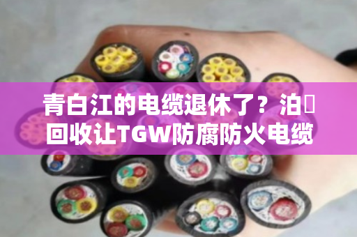 青白江的电缆退休了?泊祎回收让TGW防腐防火电缆与防腐耐候缆重获新生 青白江的电缆退休了?泊祎回收让TGW防腐防火电缆与防腐耐候缆重获新生