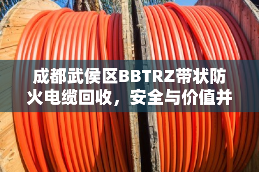 成都武侯区BBTRZ带状防火电缆回收,安全与价值并重,泊祎回收为您的项目护航 成都武侯区BBTRZ带状防火电缆回收,安全与价值并重,泊祎回收为您的项目护航