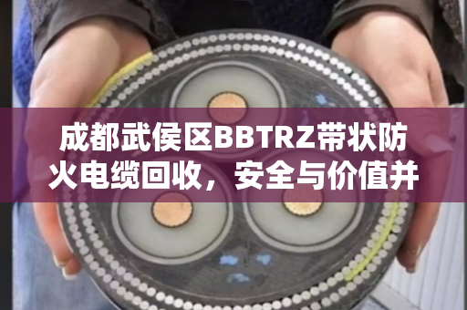 成都武侯区BBTRZ带状防火电缆回收,安全与价值并重,泊祎回收为您的项目护航 成都武侯区BBTRZ带状防火电缆回收,安全与价值并重,泊祎回收为您的项目护航