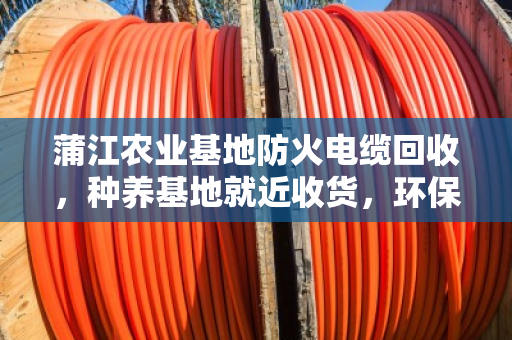 蒲江农业基地防火电缆回收,种养基地就近收货,环保增收两不误 蒲江农业基地防火电缆回收,种养基地就近收货,环保增收两不误