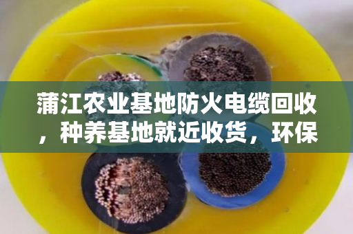 蒲江农业基地防火电缆回收,种养基地就近收货,环保增收两不误 蒲江农业基地防火电缆回收,种养基地就近收货,环保增收两不误