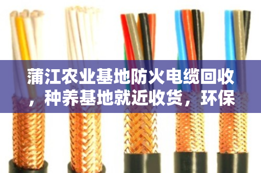 蒲江农业基地防火电缆回收，种养基地就近收货，环保增收两不误