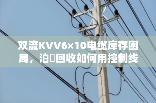 双流KVV6×10电缆库存困局，泊祎回收如何用控制线回收打破库房僵局？