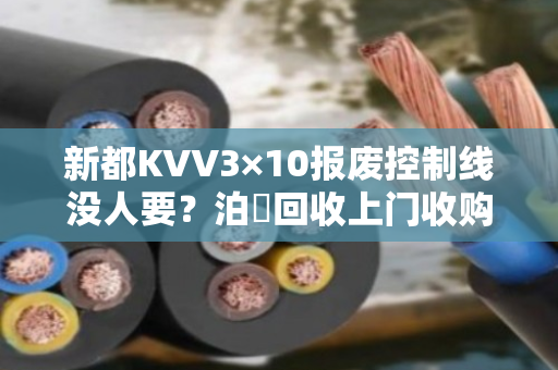 新都KVV3×10报废控制线没人要?泊祎回收上门收购,省心又划算 新都KVV3×10报废控制线没人要?泊祎回收上门收购,省心又划算