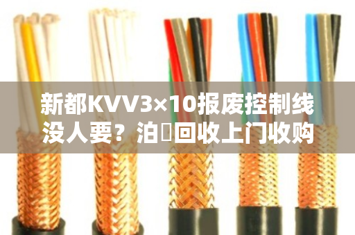 新都KVV3×10报废控制线没人要?泊祎回收上门收购,省心又划算 新都KVV3×10报废控制线没人要?泊祎回收上门收购,省心又划算