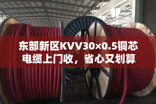 东部新区KVV30×0.5铜芯电缆上门收，省心又划算