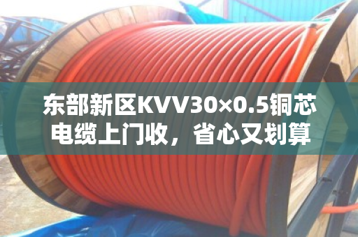 东部新区KVV30×0.5铜芯电缆上门收，省心又划算