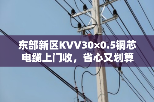 东部新区KVV30×0.5铜芯电缆上门收，省心又划算