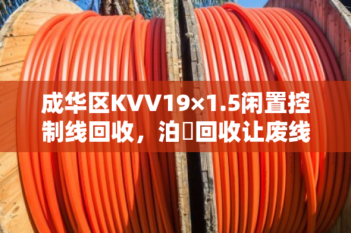 成华区KVV19×1.5闲置控制线回收,泊祎回收让废线变现金,成都客户都说好 成华区KVV19×1.5闲置控制线回收,泊祎回收让废线变现金,成都客户都说好