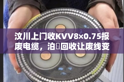 汶川上门收KVV8×0.75报废电缆,泊祎回收让废线变现金 汶川上门收KVV8×0.75报废电缆,泊祎回收让废线变现金