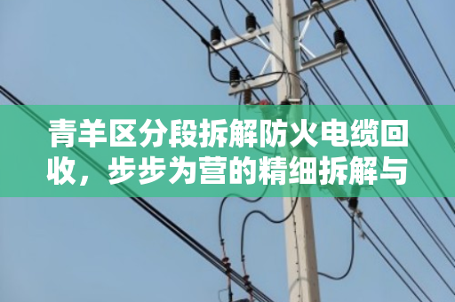 青羊区分段拆解防火电缆回收，步步为营的精细拆解与资源再生