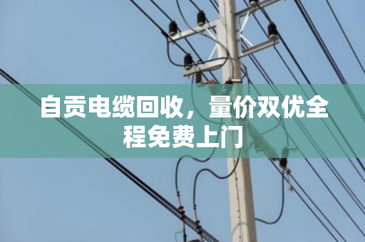 自贡电缆回收,量价双优全程免费上门 自贡电缆回收,量价双优全程免费上门