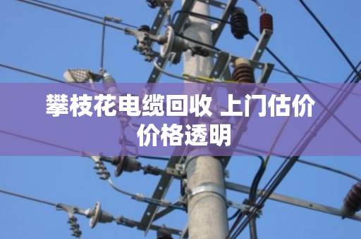 攀枝花电缆回收 上门估价 价格透明 攀枝花电缆回收 上门估价 价格透明