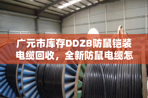 广元市库存DDZB防鼠铠装电缆回收,全新防鼠电缆怎么处理最划算? 广元市库存DDZB防鼠铠装电缆回收,全新防鼠电缆怎么处理最划算?