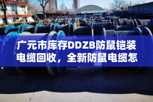 广元市库存DDZB防鼠铠装电缆回收，全新防鼠电缆怎么处理最划算？