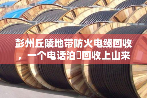 彭州丘陵地带防火电缆回收，一个电话泊祎回收上山来收