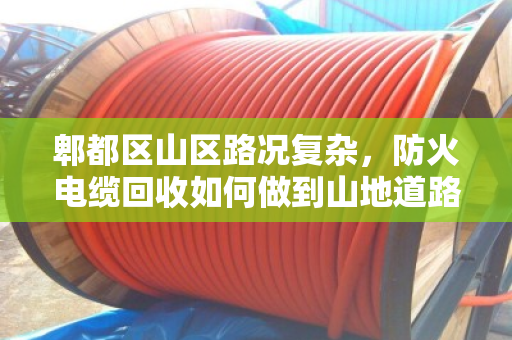 郫都区山区路况复杂,防火电缆回收如何做到山地道路上门收货?泊祎回收用专业破局 郫都区山区路况复杂,防火电缆回收如何做到山地道路上门收货?泊祎回收用专业破局