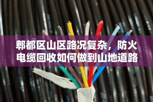 郫都区山区路况复杂，防火电缆回收如何做到山地道路上门收货？泊祎回收用专业破局
