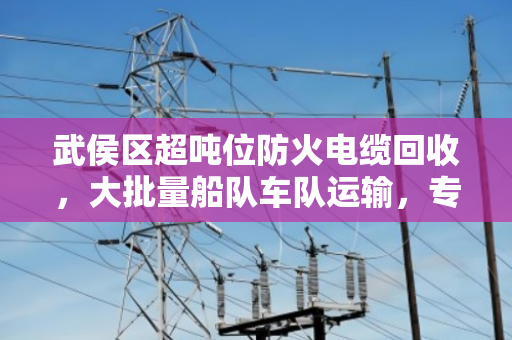 武侯区超吨位防火电缆回收,大批量船队车队运输,专业高效处理工业废料 武侯区超吨位防火电缆回收,大批量船队车队运输,专业高效处理工业废料