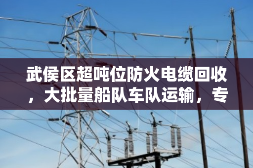 武侯区超吨位防火电缆回收,大批量船队车队运输,专业高效处理工业废料 武侯区超吨位防火电缆回收,大批量船队车队运输,专业高效处理工业废料