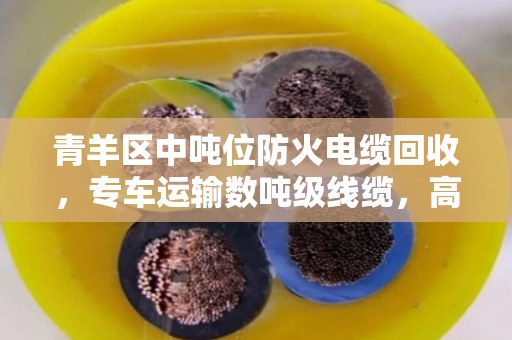 青羊区中吨位防火电缆回收,专车运输数吨级线缆,高效变现就找泊祎回收 青羊区中吨位防火电缆回收,专车运输数吨级线缆,高效变现就找泊祎回收
