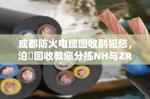 成都防火电缆回收别犯愁,泊祎回收教您分拣NH与ZR系列,分类收更值钱 成都防火电缆回收别犯愁,泊祎回收教您分拣NH与ZR系列,分类收更值钱
