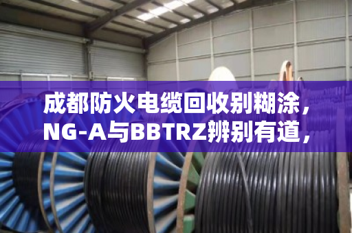 成都防火电缆回收别糊涂,NG-A与BBTRZ辨别有道,品类清晰高价不愁 成都防火电缆回收别糊涂,NG-A与BBTRZ辨别有道,品类清晰高价不愁