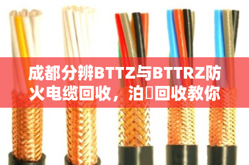 成都分辨BTTZ与BTTRZ防火电缆回收,泊祎回收教你精准区分型号,高价收购 成都分辨BTTZ与BTTRZ防火电缆回收,泊祎回收教你精准区分型号,高价收购