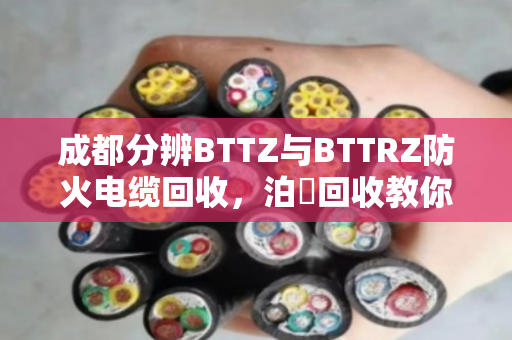 成都分辨BTTZ与BTTRZ防火电缆回收,泊祎回收教你精准区分型号,高价收购 成都分辨BTTZ与BTTRZ防火电缆回收,泊祎回收教你精准区分型号,高价收购