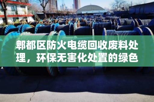 郫都区防火电缆回收废料处理,环保无害化处置的绿色解法 郫都区防火电缆回收废料处理,环保无害化处置的绿色解法