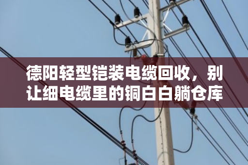 德阳轻型铠装电缆回收,别让细电缆里的铜白白躺仓库 德阳轻型铠装电缆回收,别让细电缆里的铜白白躺仓库