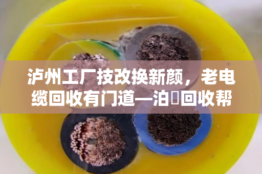 泸州工厂技改换新颜，老电缆回收有门道—泊祎回收帮您省心又赚钱