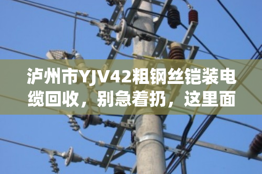 泸州市YJV42粗钢丝铠装电缆回收,别急着扔,这里面藏着真金白银 泸州市YJV42粗钢丝铠装电缆回收,别急着扔,这里面藏着真金白银