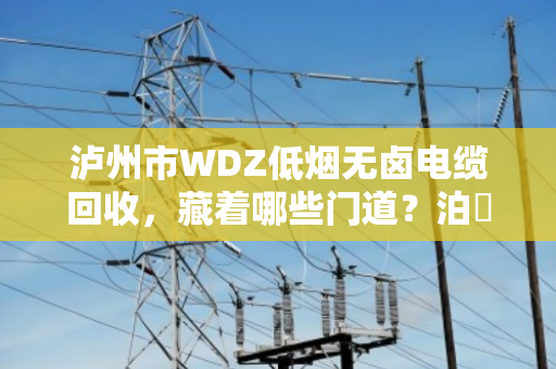 泸州市WDZ低烟无卤电缆回收，藏着哪些门道？泊祎回收帮你算明白这笔账