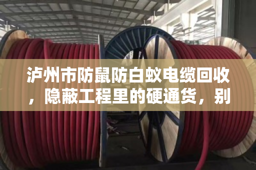 泸州市防鼠防白蚁电缆回收,隐蔽工程里的硬通货,别再当废铜烂铁贱卖了 泸州市防鼠防白蚁电缆回收,隐蔽工程里的硬通货,别再当废铜烂铁贱卖了