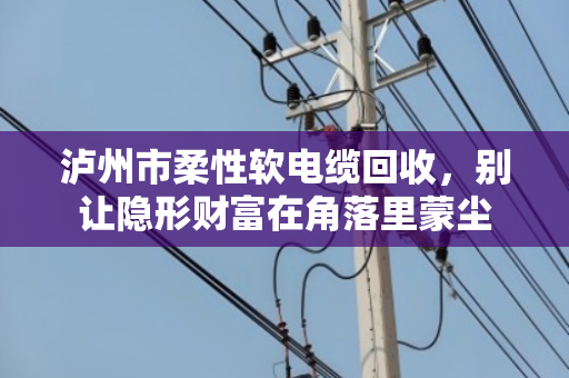 泸州市柔性软电缆回收,别让隐形财富在角落里蒙尘 泸州市柔性软电缆回收,别让隐形财富在角落里蒙尘