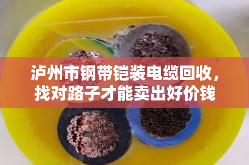 泸州市钢带铠装电缆回收,找对路子才能卖出好价钱 泸州市钢带铠装电缆回收,找对路子才能卖出好价钱
