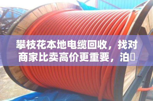 攀枝花本地电缆回收,找对商家比卖高价更重要,泊祎回收的实在话 攀枝花本地电缆回收,找对商家比卖高价更重要,泊祎回收的实在话