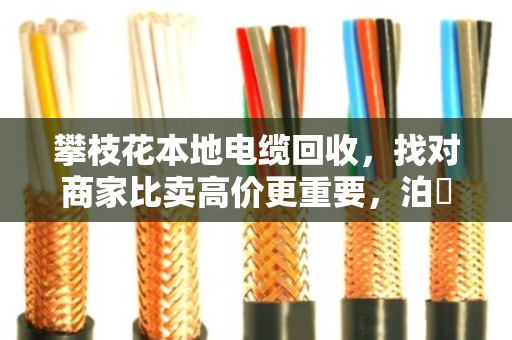 攀枝花本地电缆回收,找对商家比卖高价更重要,泊祎回收的实在话 攀枝花本地电缆回收,找对商家比卖高价更重要,泊祎回收的实在话