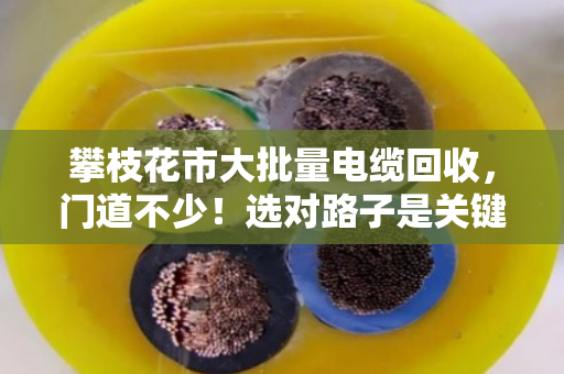 攀枝花市大批量电缆回收,门道不少!选对路子是关键 攀枝花市大批量电缆回收,门道不少!选对路子是关键