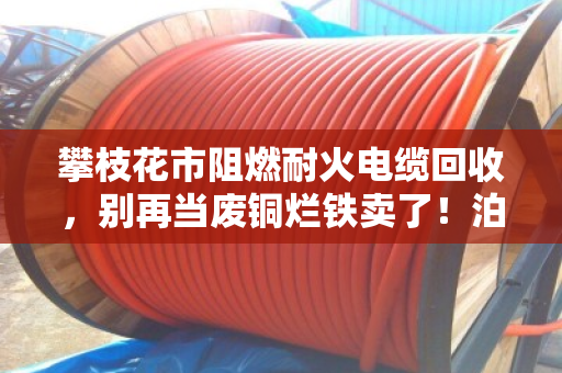 攀枝花市阻燃耐火电缆回收,别再当废铜烂铁卖了!泊祎回收给你算笔明白账 攀枝花市阻燃耐火电缆回收,别再当废铜烂铁卖了!泊祎回收给你算笔明白账