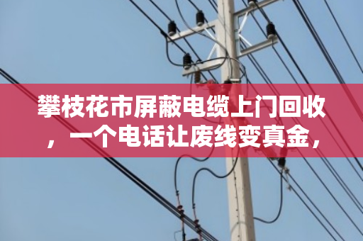 攀枝花市屏蔽电缆上门回收,一个电话让废线变真金,泊祎回收帮您省心又增收 攀枝花市屏蔽电缆上门回收,一个电话让废线变真金,泊祎回收帮您省心又增收