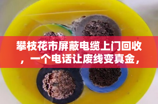攀枝花市屏蔽电缆上门回收,一个电话让废线变真金,泊祎回收帮您省心又增收 攀枝花市屏蔽电缆上门回收,一个电话让废线变真金,泊祎回收帮您省心又增收